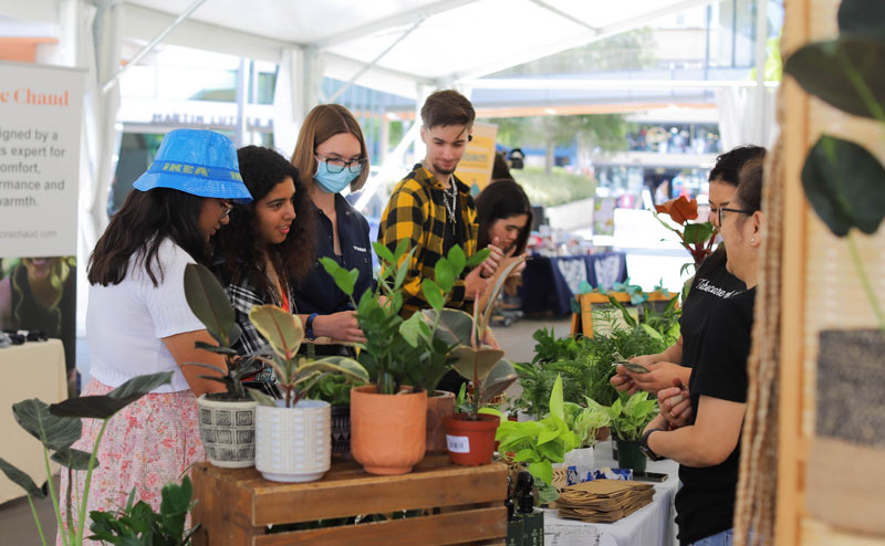 Group of students looking at potted plants