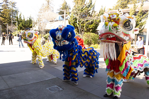 Lunar New Year, year of the dragon